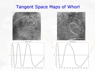 20406080100120140160180200−1−0.8−0.6−0.4−0.200.20.40.60.81Isometric map plotj cos γ 20406080100120140160180200220−1−0.8−0.6−0.4−0.200.20.40.60.81Isometric map plotj cos γ Tangent Space Maps of WhorlTangent Whorl  