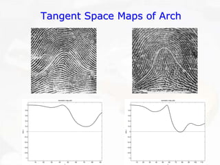102030405060708090−1−0.8−0.6−0.4−0.200.20.40.60.81Isometric map plotj cos γ 102030405060708090100110−1−0.8−0.6−0.4−0.200.20.40.60.81Isometric map plotj cos γ Tangent Space Maps of ArchTangent Arch  