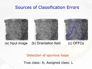 Detection of spurious loopsTrue class: A; Assigned class: L 
Sources of Classification Errors  