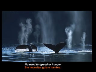 No need for greed or hunger   Sin necesitar gula o hambre. 
