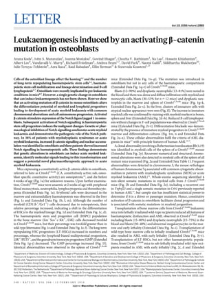 LETTER doi:10.1038/nature12883
Leukaemogenesis induced by an activating b-catenin
mutation in osteoblasts
Aruna Kode1
, John S. Manavalan1
, Ioanna Mosialou1
, Govind Bhagat2
, Chozha V. Rathinam3
, Na Luo1
, Hossein Khiabanian4
,
Albert Lee4
, Vundavalli V. Murty5
, Richard Friedman6
, Andrea Brum1,7
, David Park8
, Naomi Galili9
, Siddhartha Mukherjee10
,
Julie Teruya-Feldstein8
, Azra Raza9
, Raul Rabadan4
, Ellin Berman11
& Stavroula Kousteni1,12
Cells of the osteoblast lineage affect the homing1,2
and the number
of long-term repopulating haematopoietic stem cells3,4
, haemato-
poietic stem cell mobilization and lineage determination and B cell
lymphopoiesis5–7
.Osteoblastswererecentlyimplicatedinpre-leukaemic
conditions inmice8,9
. However,a singlegenetic change inosteoblasts
that can induce leukaemogenesis has not been shown. Here we show
that an activating mutation of b-catenin in mouse osteoblasts alters
the differentiation potential of myeloid and lymphoid progenitors
leading to development of acute myeloid leukaemia with common
chromosomalaberrationsandcellautonomousprogression.Activated
b-catenin stimulates expression of the Notch ligandjagged 1 in osteo-
blasts. Subsequent activation of Notch signalling in haematopoietic
stemcellprogenitorsinducesthemalignantchanges.Geneticorphar-
macologicalinhibitionofNotchsignallingamelioratesacutemyeloid
leukaemia and demonstrates the pathogenic role of the Notch path-
way. In 38% of patients with myelodysplastic syndromes or acute
myeloidleukaemia,increasedb-cateninsignallingandnuclearaccumu-
lationwasidentifiedinosteoblastsandthesepatientsshowedincreased
Notch signalling in haematopoietic cells. These findings demonstrate
that genetic alterations in osteoblasts can induce acute myeloid leuk-
aemia,identifymolecularsignals leadingtothistransformationand
suggest a potential novel pharmacotherapeutic approach to acute
myeloid leukaemia.
Mice expressing a constitutively active b-catenin allele in osteoblasts,
referred to here as Ctnnb1CAosb
(CA, constitutively active; osb, osteo-
blast specific constitutive activity) are osteopetrotic10
, and die before
6 weeks of age (Fig. 1a) for unknown reasons. Upon further examina-
tion, Ctnnb1CAosb
mice were anaemic at 2 weeks of age with peripheral
blood monocytosis, neutrophilia, lymphocytopenia and thrombocyto-
penia (Extended Data Fig. 1a). Erythroid cells were decreased in the
marrow and extramedullary haematopoiesis was observed in the liver
(Fig. 1c and Extended Data Fig. 1b, l, m). Although the number of
myeloid (CD11b1
/Gr11
) cells decreased due to osteopetrosis, their
relative percentage increased, indicating a shift in the differentiation
of HSCs to the myeloid lineage (Fig. 1d and Extended Data Fig. 1c, d).
The haematopoietic stem and progenitor cell (HSPC) population
in the bone marrow (Lin2
Sca1
c-Kit1
, LSK) cells decreased twofold
in Ctnnb1CAosb
mice, but their percentage was twofold greater than in
wild-type littermates (Fig. 1e and Extended Data Fig. 1e, f). The long-term
repopulating HSC progenitors (LT-HSCs) increased in numbers and
percentage, whereas the lymphoid-biased multipotential progenitors,
LSK1
/FLT31
,andthegranulocyte/monocyteprogenitors(GMP)(Extended
Data Fig. 1g–j) decreased. The GMP percentage increased (Fig. 1f).
Identical abnormalities were observed in the spleen of Ctnnb1CAosb
mice (Extended Data Fig. 1n–p). The mutation was introduced in
osteoblasts but not in any cells of the haematopoietic compartment
(Extended Data Fig. 1q–t) of Ctnnb1CAosb
mice.
Blasts (12–90%) and dysplastic neutrophils (13–81%) were noted in
thebloodandtherewasdenseanddiffuse infiltration with myeloid and
monocytic cells, blasts (30–53% for n 5 12 mice) and dysplastic neu-
trophils in the marrow and spleen of Ctnnb1CAosb
mice (Fig. 1g–k,
Extended Data Fig. 2a–c). In the liver, clusters of immature cells with
atypical nuclear appearance wereseen(Fig.1l).The increase inimmature
myeloid cellswasconfirmedbystainingwithmyeloidmarkersinbones,
spleen and liver (Extended Data Fig. 2d–h). Reduced B-cell lymphopoi-
esis without changes in T-cell populations was observed in Ctnnb1CAosb
mice (Extended Data Fig. 2i–t). Differentiation blockade was demon-
stratedbythepresenceofimmaturemyeloidprogenitorsin Ctnnb1CAosb
marrow and differentiation cultures (Fig. 1m, n and Extended Data
Fig. 2u–x). These cellular abnormalities fulfil the criteria of AML dia-
gnosis in mice11
with principle features of human AML12,13
.
AclonalabnormalityinvolvingaRobertsoniantranslocationRb(1;19)
was identified in myeloid cells of the spleen of a Ctnnb1CAosb
mouse
(Extended Data Fig. 2y). Recurrent numerical and structural chromo-
somal alterations were also detected in myeloid cells of the spleen of all
mutant mice examined (Fig. 2a and Extended Data Table 1). Frequent
abnormalities were detected in chromosome 5, the mouse orthologue
of human chromosome 7q associated with common cytogenetic abnor-
malities in patients with myelodysplastic syndromes (MDS) or acute
myeloid leukaemia (AML)14
. Whole-exome sequencing identified 4
non-silent somatic mutations in myeloid cells from 3 Ctnnb1CAosb
mice (Fig. 2b and Extended Data Fig. 2z), including a recurrent one
in Tnfrsf21 and a single somatic mutation in Crb1 previously reported
in human AML15
, but sample size has insufficient statistical power to
determine if it is a driver or passenger mutation. Hence, constitutive
activation of b-catenin in osteoblasts facilitates clonal progression and
is associated with somatic mutations in myeloid progenitors.
Transplantation of bone marrow cells from Ctnnb1CAosb
leukaemic
mice into lethally irradiated wild-type recipients induced all features of
haematopoietic dysfunction and AML observed in Ctnnb1CAosb
mice
including blasts (15–80%) and dysplastic neutrophils (15–75%) in the
blood and blasts (30–40%) and abnormal megakaryocytes in the mar-
row and early lethality (Extended Data Fig. 3a–i). Transplantation of
wild-type bone marrow cells to lethally irradiated Ctnnb1CAosb
mice
also resulted in AML with early lethality (Extended Data Fig. 3j–r).
Transplantation of LT-HSCs, but not other haematopoietic popula-
tions, from Ctnnb1CAosb
mice to sub-lethally irradiated wild-type reci-
pients resulted in AML with early lethality (Fig. 2c, d and Extended
1
Department of Medicine, Division of Endocrinology, College of Physicians & Surgeons, Columbia University, New York, New York 10032, USA. 2
Department of Pathology and Cell Biology, College of
Physicians & Surgeons, Columbia University, New York, New York 10032, USA. 3
Department of Genetics and Development College of Physicians & Surgeons, Columbia University, New York, New York
10032, USA. 4
Department of Biomedical Informatics and Center for Computational Biology and Bioinformatics, Columbia University, New York, New York 10032, USA. 5
Department of Pathology & Institute
for Cancer Genetics Irving Cancer Research Center, Columbia University, New York, New York 10032, USA. 6
Biomedical Informatics Shared Resource, Herbert Irving Comprehensive Cancer Center and
Department of Biomedical Informatics, College of Physicians & Surgeons, Columbia University, New York, New York 10032, USA. 7
Department of Internal Medicine, Erasmus MC, Dr. Molewaterplein 50, NL-
3015GERotterdam,The Netherlands.8
DepartmentofPathology,MemorialSloan-KetteringCancerCenter,NewYork,NewYork10021,USA.9
MyelodysplasticSyndromesCenter,ColumbiaUniversityNew
York, New York 10032, USA. 10
Departments of Medicine Hematology & Oncology Columbia University New York, New York 10032, USA. 11
Leukemia Service, Department of Medicine, Memorial Sloan-
Kettering Cancer Center, New York, New York 10021, USA. 12
Department of Physiology & Cellular Biophysics, College of Physicians & Surgeons, Columbia University, New York, New York 10032, USA.
2 4 0 | N A T U R E | V O L 5 0 6 | 1 3 F E B R U A R Y 2 0 1 4
Macmillan Publishers Limited. All rights reserved©2014
 