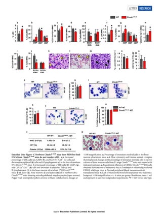 Extended Data Figure 4 | Newborn Ctnnb1CAosb
mice show MDS but fetal
HSCs from Ctnnb1CAosb
mice do not transfer AML. a–e, Increased
percentage of LSK cells (a), GMPs (b), and CD11b1
/Gr11
(c) cells and
decreases in erythroid (d) cells and B-lymphopoiesis (e) in the liver of newborn
(P1) Ctnnb1CAosb
mice. f–j, Increased percentage of LSK cells (f), GMPs (g),
and CD11b1
/Gr11
(h) cells and decreases in erythroid cells (i) and
B-lymphopoiesis (j) in the bone marrow of newborn (P1) Ctnnb1CAosb
mice. k–m, Liver (k), bone marrow (l) and spleen (m) of of newborn (P1)
Ctnnb1CAosb
mice showing microhypolobated megakaryocytes (open arrows),
Pelger Huet neutrophils (yellow arrows) or blasts (solid arrows). Images at
3100 magnification. n, Percentage of immature myeloid cells in the bone
marrow of newborn mice. o–t, Flow cytometry and Giemsa-stained cytospins
showing lack of changes in the percentage of immature myeloid cells in ex vivo
cultures of bone marrow cells from P1 stage Ctnnb1CAosb
mice and treated with
indicated cytokines.u, Engraftment efficiency of CD45.2 Ctnnb1CAosb
LSK cells
obtained from the liver of embryonic day 18.5 embryos in sublethally irradiated
CD45.1 wild-type mice. v, Normal peripheral blood measurements in
transplanted mice. w, Lack of blasts in theblood of transplanted wild-type mice.
Images at 3100 magnification. n 5 6 mice per group. Results are mean 6 s.d.
andrepresentat leasttwoindependentexperiments. *P , 0.05 versus wild type.
LETTER RESEARCH
Macmillan Publishers Limited. All rights reserved©2014
 