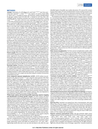 METHODS
Animals. Generation of a1(I)Collagen-Cre and Catnb1/lox(ex3)
mice have prev-
iously been reported30–32
. Catnb1/lox(ex3)
mice express a b-catenin mutant allele
in which exon 3, encoding all serine and threonine residues phosphorylated
by glycogen synthase kinase 3b (GSK-3b)33
, is flanked by loxP sites. Mice with
osteoblast-specific constitutive activation of b-catenin were generated by crossing
Catnb1/lox(ex3)
mice with a1(I)Col-Cre mice expressing Cre under the control of
2.3 kb of the proximal promoter of the mouse pro-a1(I) collagen gene. The trans-
gene is expressed at high levels in osteoblasts specifically34
. There is no expression
in chondrocytes, condensed mesenchymal cells, perichondrial or periosteal fibro-
blasts, or any other type I collagen-producing cells, or other fibroblast-rich tissues
such as muscle, heart or tendons. The resulting offspring, termed Ctnnb1CAosb
(original nomenclature bcat(ex3)osb), express a constitutively active b-catenin allele
in osteoblasts. Mice with osteoblast-specific deletion of jagged 1 were generated by
crossing previously described Jag1fl/fl
mice35
with a1(I)Col-Cre mice. Genotyping
was performed at weaning stage by PCR analysis of genomic DNA. In each experi-
ment the mice used were all littermates of the same genetic background. One-
month-old female mice were used for the bone histomorphometric analysis.
Ctnnb1CAosb
mice lack teeth due to osteopetrosis and therefore were fed a normal
powdered diet that contained all the required nutrients (20% protein, 3.0 p.p.m.
folicacid,51mgperkgvitaminB12fromPicoLabRodentDiet20).Folateandvitamin
B12levelsintheirbloodwerenormal(folate.24ng ml21
andB12.1,000pgml21
)
confirmingadequateintakeofcritical nutrients.FolateandvitaminB12 levelswere
measured by Antech Diagnostics using a chemiluminescence based kit (Siemens).
All the protocols and experiments were conducted according to the guidelines of
the Institute of Comparative Medicine, Columbia University. Randomization was
done according to genotype and blinding was applied during histological analysis.
Patient samples. Bone marrow biopsies from patients with AML and MDS were
consecutively obtained from 2000 to 2008 and reviewed under a research exempt
waiver approved by the institutional review board (IRB) of Memorial Sloan-
Kettering Hospital and Human Biospecimen Utilization Committee. Bone mar-
row biopsies and aspirates obtained from Columbia University from patients with
MDS and AML were stored in the IRB-approved Tissue Repository at Columbia
UniversityMedicalCenterafter informedconsent.Thisstudy wasconductedunder
protocol approval from the IRB for use of samples from the Tissue Repository.
Karyotype analysis. Metaphase chromosome preparations were prepared from
cells obtained from spleen specimens from Ctnnb1CAosb
mice afterovernight culture
in complete RPMI medium using standard methods. Giemsa banding was per-
formed and the images were captured using Cytovision Imaging system (Applied
Imaging) attached to a Nikon Eclipse 600 microscope. Twenty to thirty karyotypes
were prepared from each sample and described using the standard chromosome
nomenclature for mice.
Array comparative genomic hybridization (aCGH). aCGH analysis was per-
formed in the spleen of Ctnnb1CAosb
mice using the mouse genome CGH 244A
platform (Agilent Technologies) according to the manufacturer’s instructions. In
brief, spleen DNA from wild-type littermates was used as reference DNA. Genomic
DNA was subjected to restriction digestion before labelling and purification
(SureTag DNA labelling kit, Agilent Technologies). For each 244K array, 2 mg
of labelled DNA and 2 mg of germline reference DNA were labelled with Cy5 and
Cy3, respectively. Differentially labelled test (tumour) DNA and normal reference
DNA were hybridized simultaneously to normal chromosome spreads. Data
extraction was conducted using the Agilent feature extraction software. Data files
were analysed using the Agilent DNA analytics software. Data were deposited in
Gene Expression Omnibus (accession number GSE51690).
Whole-exome capture and massively parallel sequencing, sequence mapping
and identification of tumour-specific variants. For three tumour and three
unpaired normal samples, purified genomic DNA (3 mg) was enriched in protein-
coding sequences using the SureSelect Mouse All Exon kit (Agilent Technologies)
following standard protocols. The resulting target-enriched pool was amplified
and subjected to paired-end sequencing (23 100bp) by using HiSeq2000 sequen-
cing instruments. Exome capture and sequencing procedures were performed at
Agilent Technologies. Sequencing reads were mapped to the reference genome
mm10 using the Burrows–Wheeler Aligner (BWA) alignment tool version 0.5.9
(ref. 36). We identified sites that differed from the reference genome (called here
variants) and constructed empirical priors for the distribution of variant frequen-
cies in each sample independently. We obtained high-credibility intervals (pos-
terior probability $ 1 – 1025
) for the observed frequency of the variants using the
statistical algorithm for variant identification (SAVI) algorithm37,38
.
Variants were considered absent if found with a frequency between 0 and 2%,
and were considered present if detected with a frequency above 15%. We chose
15% as a cut-off given its correspondence with the sensitivity threshold of direct
Sanger sequencing. Variant total depth was required to be .103 and ,3003.
Segmenting variants that exist in one case only and absent in the other five cases
identified regions of possible copy number aberrations. We removed the variants
found in these regions. We also excluded all silent variants and those present in the
dbSNPdatabase,andfocusedonlyonsubstitutionmutations.Finally,inthetumour
samples, we removed all variants found present in any of the normal samples.
Themutationsweresubjectedtovalidation(presentintumour, absent innormal)
by conventional Sanger-based resequencing analysis of PCR products obtained
from tumour DNA using primers specific for the exon encompassing the variant.
Data were deposited in the Sequence Read Archive (accession number SRP031981).
Microarray analysis. Total RNA was extracted from primary osteoblasts isolated
from mouse calvaria using TRIzol reagent (Invitrogen). Microarray analysis was
performed using the GeneChip 39 IVT Express kit and mouse genome 430 2.0
array gene chips (Affymetrix) according to the manufacturer’s instructions. In
brief, antisense RNA was synthesized from 500ng of RNA and was biotinylated
followed by purification and fragmentation using the GeneChip 39 IVT Express
kit. Fragmented aRNA was hybridized to Affymetrix mouse genome 430 2.0 array
gene chips. Following hybridization, chips were scanned with a GeneChip Scanner
3000 7G (Affymetrix). Data were normalized using the Mas5 method39
, and then
log2 transformed. Data were deposited in Gene Expression Omnibus (accession
number GSE43242)40
, Differential expression was analysed using LIMMA41
. We
focused on about 20 genes which we selected in advance of the analysis. Genes
were considered which either are active in AML, are amplified according to our
CGH results, activate Notch, or whose transcription is induced by Notch. A sig-
nificance cutoff of a raw P , 0.05 was used, as is appropriate for small previously
determinedgenesets42
.Representativeprobesetsofgeneswhoseexpressionchanged
greater than 6 20%in atleast oneof the twomutants relative to wild type appear in
Supplementary Table 1.
Bone marrow transplantation. For bone marrow transplantation studies, adult
wild-type B5.SJL (CD45.1) recipient mice (8 weeks of age) were lethally irradiated
(10Gy, split dose) and were then transplanted with 13 105
of total bone marrow
cells from Ctnnb1CAosb
(CD45.2) or wild-type B5.SJL (CD45.2) mice (4 weeks of
age) by retro-orbital venous plexus injection. Engraftment efficiency in recipients
was monitored by donor contribution of CD45.21
cells using FACS analysis. For
the reverse experiment, because of the early lethality of Ctnnb1CAosb
mice, 13 105
of total bone marrow cells from wild-typeB6.SJL (CD45.1) mice were transplanted
into lethally irradiated (600 rads, split dose) newborn (P1) Ctnnb1CAosb
mice or
wild-type littermates by liver injections. Engraftment efficiency in recipients was
monitored by donor contribution of CD45.11
cells using FACS analysis. For HSC
and progenitor transplantation studies, sublethally (5.5 Gy) irradiated wild-type
B5.SJL (CD45.1) recipient mice (8 weeks of age) were injected with fractionated
donor bone marrow subsets isolated from Ctnnb1CAosb
(CD45.2) or wild-type
B5.SJL (CD45.2) mice (4 weeks of age). Engraftment efficiency in recipients was
monitored by donor contribution of CD45.21
cells using FACS analysis.
Treatment of animals with c-secretase inhibitor. Two-week-old Ctnnb1CAosb
mice or their wild-type littermates were treated with vehicle, the c-secretase inhibitor
DBZ ((2S)-2-[2-(3,5-difluorophenyl)-acetylamino]-N-(5-methyl-6-oxo-6,7-dihydro-
5H-dibenzo[b,-d]azepin-7-yl)-propionamide, 2 mmol kg21
) daily by intraperito-
neal injection for 10 days. DBZ is cell-permeable, selective, non-transition and
non-competitive inhibitor of the c-secretase complex. DBZ was synthesized to
.99.9% purity as assessed by liquid chromatography/mass spectrometry (LC/
MS) (Syncom) and suspended in a 0.5% methocel E4M (w/v, Colorcon) and 0.1%
(v/v) Tween-80 (Sigma) solution43
. Immediately before intraperitoneal injection,
DBZ was sonicated for 2 min to achieve a homogenous suspension.
Haematological measurements and peripheral blood morphology. For haema-
tological measurements, blood was collected by cardiacpuncture. Peripheralblood
cell countswere performed on a FORCYTE haematology analyser(Oxford Science).
Formorphologicalassessment,peripheral blood smears were stained with Wright-
Giemsa stain (Sigma-Aldrich) for 10 min followed by rinsing in dH2O for 3 min.
Images were taken using a 603 objective on a Leica microscope outfitted with a
camera.
Real-time PCR. Total RNA was isolated from LSK or haematopoietic cells using
RNeasy Micro Plus kit (Qiagen). Total RNA from bone marrow-free long bones
wasisolatedusingTRIzolreagentafter removaloftheperiosteallayer.Quantitative
real-time PCR was performed using the SYBR Green Master Mix (Bio-Rad) as
previously described32
. b-actin was used as endogenous control. Gene expression
in LT-HSCs, ST-HSCs and MPPs was performed using the Power SYBR Green
Cells-to-CT kit (Ambion Life Technologies).
Reporter constructs and luciferase assays. The Jag1 promoter region carries
multiple potential TCF/LEF binding sites (C/TCTTTG) located up to nucleotide
24075 (24075, 23072, 22626, 22578, 22343, 21992, 21957, 21566, 21221,
2782). The mousereporterconstructs 24112/1130and22100/1130for Jag1-luc
were generated by PCR amplificationof the correspondingfragments using mouse
genomic DNA as template and subsequent subcloning into the BglII and KpnI/
BglII sites of the pGL3Basic vector (Promega), respectively. Transient transfection
LETTER RESEARCH
Macmillan Publishers Limited. All rights reserved©2014
 