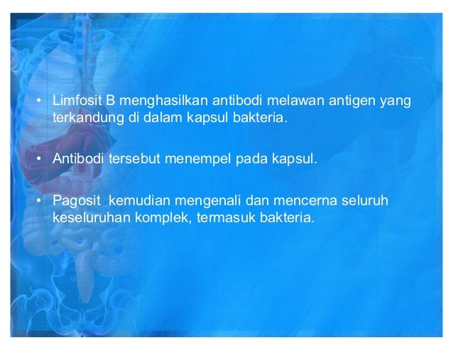 80445472 sistem-limfatik-dan-imuniti