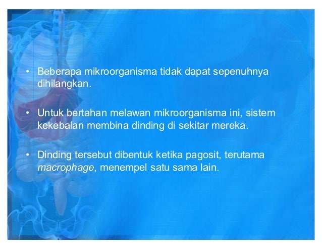 80445472 sistem-limfatik-dan-imuniti