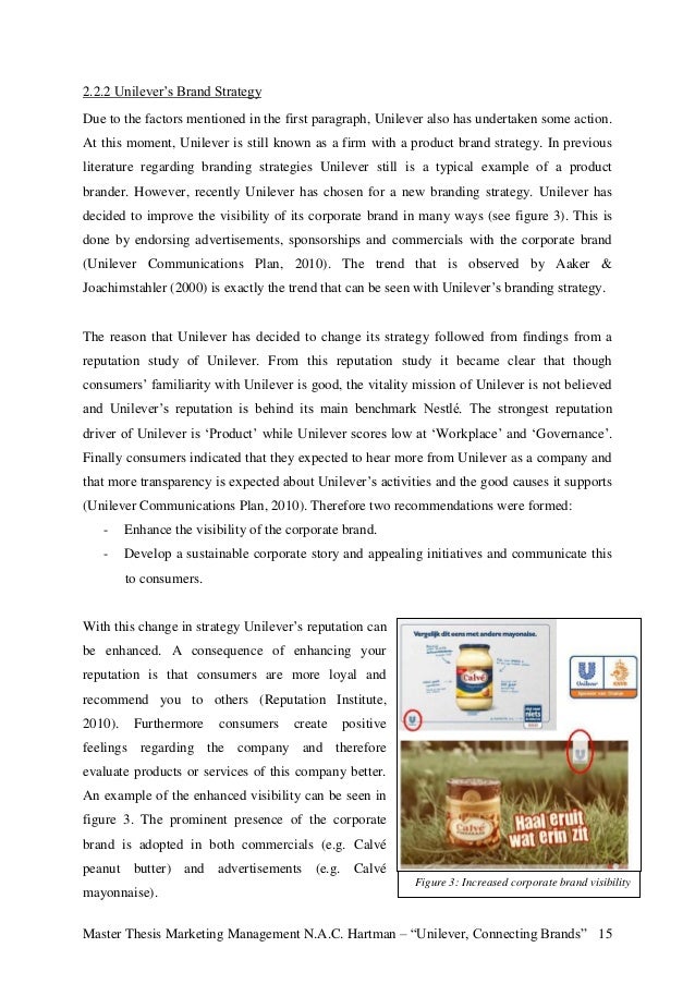 Master Thesis/Project Report Format - University of Houston thesis master marketing