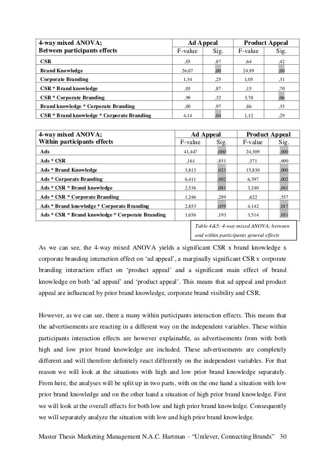 master thesis business management