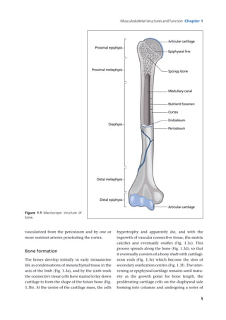 Lecture Notes Orthopaedics and Fractures 4th ed 4th Edition T ...