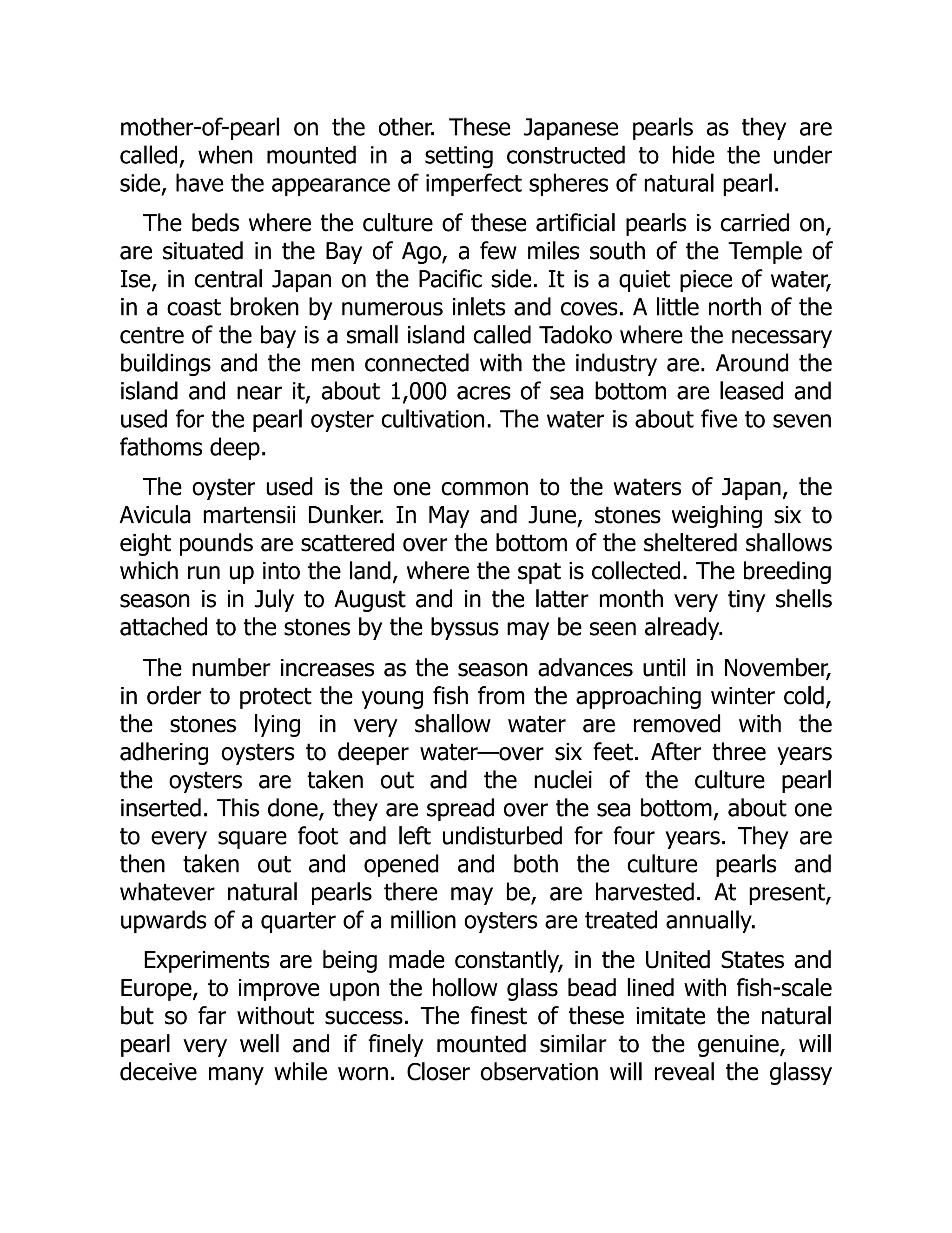 mother-of-pearl on the other. These Japanese pearls as they are
called, when mounted in a setting constructed to hide the under
side, have the appearance of imperfect spheres of natural pearl.
The beds where the culture of these artificial pearls is carried on,
are situated in the Bay of Ago, a few miles south of the Temple of
Ise, in central Japan on the Pacific side. It is a quiet piece of water,
in a coast broken by numerous inlets and coves. A little north of the
centre of the bay is a small island called Tadoko where the necessary
buildings and the men connected with the industry are. Around the
island and near it, about 1,000 acres of sea bottom are leased and
used for the pearl oyster cultivation. The water is about five to seven
fathoms deep.
The oyster used is the one common to the waters of Japan, the
Avicula martensii Dunker. In May and June, stones weighing six to
eight pounds are scattered over the bottom of the sheltered shallows
which run up into the land, where the spat is collected. The breeding
season is in July to August and in the latter month very tiny shells
attached to the stones by the byssus may be seen already.
The number increases as the season advances until in November,
in order to protect the young fish from the approaching winter cold,
the stones lying in very shallow water are removed with the
adhering oysters to deeper water—over six feet. After three years
the oysters are taken out and the nuclei of the culture pearl
inserted. This done, they are spread over the sea bottom, about one
to every square foot and left undisturbed for four years. They are
then taken out and opened and both the culture pearls and
whatever natural pearls there may be, are harvested. At present,
upwards of a quarter of a million oysters are treated annually.
Experiments are being made constantly, in the United States and
Europe, to improve upon the hollow glass bead lined with fish-scale
but so far without success. The finest of these imitate the natural
pearl very well and if finely mounted similar to the genuine, will
deceive many while worn. Closer observation will reveal the glassy
 