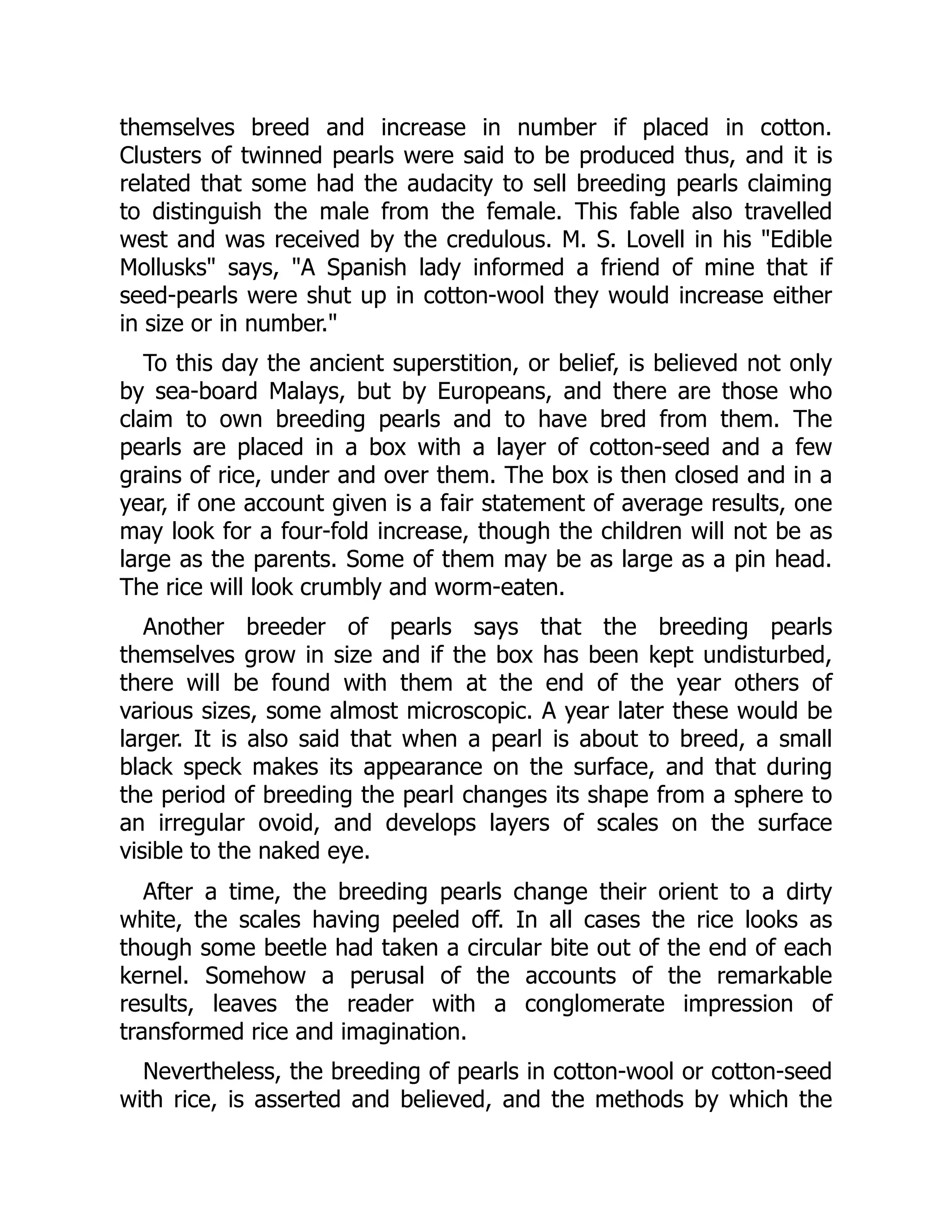themselves breed and increase in number if placed in cotton.
Clusters of twinned pearls were said to be produced thus, and it is
related that some had the audacity to sell breeding pearls claiming
to distinguish the male from the female. This fable also travelled
west and was received by the credulous. M. S. Lovell in his "Edible
Mollusks" says, "A Spanish lady informed a friend of mine that if
seed-pearls were shut up in cotton-wool they would increase either
in size or in number."
To this day the ancient superstition, or belief, is believed not only
by sea-board Malays, but by Europeans, and there are those who
claim to own breeding pearls and to have bred from them. The
pearls are placed in a box with a layer of cotton-seed and a few
grains of rice, under and over them. The box is then closed and in a
year, if one account given is a fair statement of average results, one
may look for a four-fold increase, though the children will not be as
large as the parents. Some of them may be as large as a pin head.
The rice will look crumbly and worm-eaten.
Another breeder of pearls says that the breeding pearls
themselves grow in size and if the box has been kept undisturbed,
there will be found with them at the end of the year others of
various sizes, some almost microscopic. A year later these would be
larger. It is also said that when a pearl is about to breed, a small
black speck makes its appearance on the surface, and that during
the period of breeding the pearl changes its shape from a sphere to
an irregular ovoid, and develops layers of scales on the surface
visible to the naked eye.
After a time, the breeding pearls change their orient to a dirty
white, the scales having peeled off. In all cases the rice looks as
though some beetle had taken a circular bite out of the end of each
kernel. Somehow a perusal of the accounts of the remarkable
results, leaves the reader with a conglomerate impression of
transformed rice and imagination.
Nevertheless, the breeding of pearls in cotton-wool or cotton-seed
with rice, is asserted and believed, and the methods by which the
 