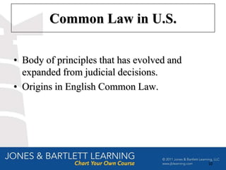 Common Law in U.S.

• Body of principles that has evolved and
  expanded from judicial decisions.
• Origins in English Common Law.




                                            10
 