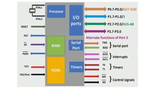 8051.pdf