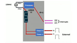 8051.pdf