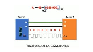 8051.pdf