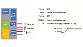8051.pdf