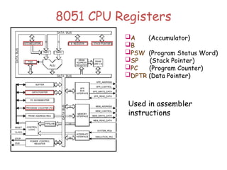 8051 CPU Registers
A (Accumulator)
B
PSW (Program Status Word)
SP (Stack Pointer)
PC (Program Counter)
DPTR (Data Pointer)
Used in assembler
instructions
 