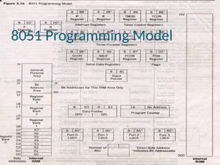 8051 Programming Model
 