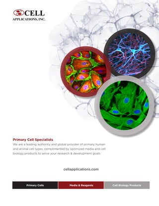 cellapplications.com
Primary Cell Specialists
We are a leading authority and global provider of primary human
and animal cell types, complimented by optimized media and cell
biology products to serve your research & development goals
Primary Cells Media & Reagents Cell Biology Products
 