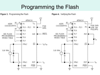 Programming the Flash 