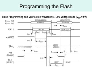 Programming the Flash 