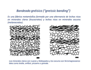 Bandeado gnéisico (͞gneissic banding͟)
Es una fábrica metamórfica formada por una alternancia de lechos ricos
en minerales claros (leucocratos) y lechos ricos en minerales oscuros
(melanocratos).
Los minerales claros son cuarzo y feldespatos y los oscuros son ferromagnesianos
tales como biotita, anfíbol, piroxeno o granate.
 