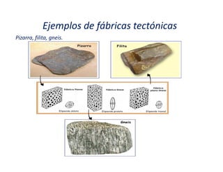 Ejemplos de fábricas tectónicas
Pizarra, filita, gneis.
 