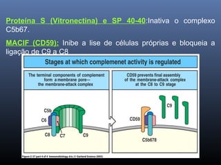 Proteína S (Vitronectina) e SP 40-40:Inativa o complexo
C5b67.
MACIF (CD59): Inibe a lise de células próprias e bloqueia a
ligação de C9 a C8
 