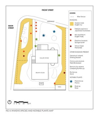 FIG 4: INVASIVE SPECIES AND NOTABLE PLANTS MAP
Hedera helix
English Ivy
Fallopia japonica
Japanese knotweed
Ilex aquifolium
English Holly
Daphne laureola
Spurge laurel
Vinca major
Periwinkle
Paeonia sp.
Peony
Rose sp.
Rose
OTHER INVASIVES PRESENT
Geranium robertii
Stinking Robert
Convuvula arvensis
Field Bindweed
Ranunculus repens
Creeping Buttercup
Rumex sp.
Dock
LEGEND
INVASIVES
NOTABLE PLANTS
0 5 10 20 40 FT
MAIN
STREET
FRONT STREET
Wire Fence
SIDEWALK
HALLER HOUSE
BRUNN HOUSE
SHED
SHED
 