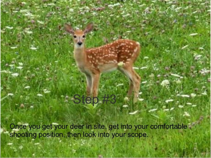 How to Shoot and Kill a Deer with a Mossberg 500