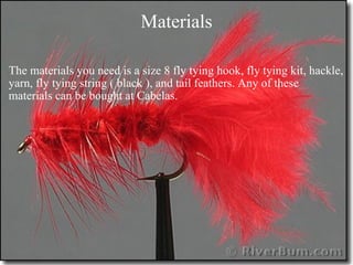 Materials The materials you need is a size 8 fly tying hook, fly tying kit, hackle, yarn, fly tying string ( black ), and tail feathers. Any of these materials can be bought at Cabelas. 