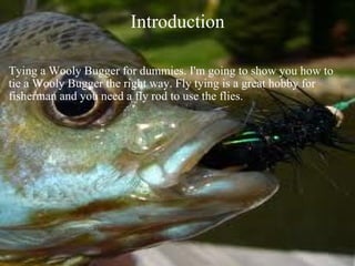 Introduction Tying a Wooly Bugger for dummies. I'm going to show you how to tie a Wooly Bugger the right way. Fly tying is a great hobby for fisherman and you need a fly rod to use the flies. 