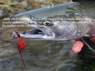 Step 5    Next pluck a feather of hackle off the patch of feathers. Shave the strands of feather off of the top of the feather. Tie the shaved part of the feather on the top of the hook. 
