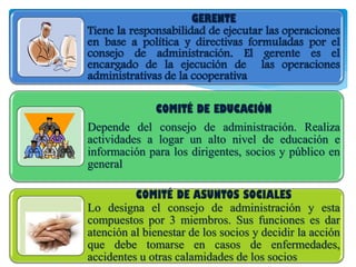 GERENTE
Tiene la responsabilidad de ejecutar las operaciones
en base a política y directivas formuladas por el
consejo de administración. El gerente es el
encargado de la ejecución de las operaciones
administrativas de la cooperativa
COMITÉ DE EDUCACIÓN
Depende del consejo de administración. Realiza
actividades a logar un alto nivel de educación e
información para los dirigentes, socios y público en
general
COMITÉ DE ASUNTOS SOCIALES
Lo designa el consejo de administración y esta
compuestos por 3 miembros. Sus funciones es dar
atención al bienestar de los socios y decidir la acción
que debe tomarse en casos de enfermedades,
accidentes u otras calamidades de los socios
 