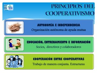 AUTONOMÍA E INDEPENDENCIA
Organización autónoma de ayuda mutua
EDUCACIÓN, ENTRENAMIENTO E INFORMACIÓN
Socios, directivos y colaboradores
COOPERACIÓN ENTRE COOPERATIVAS
Trabajo de manera conjunta. Estructuras
 