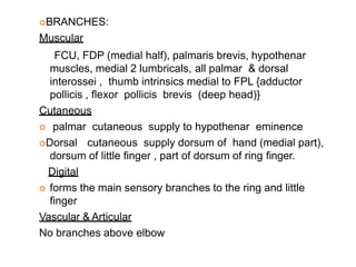 BRANCHES:
Muscular
FCU, FDP (medial half), palmaris brevis, hypothenar
muscles, medial 2 lumbricals, all palmar & dorsal
interossei , thumb intrinsics medial to FPL {adductor
pollicis , flexor pollicis brevis (deep head)}
Cutaneous
 palmar cutaneous supply to hypothenar eminence
Dorsal cutaneous supply dorsum of hand (medial part),
dorsum of little finger , part of dorsum of ring finger.
Digital
 forms the main sensory branches to the ring and little
finger
Vascular & Articular
No branches above elbow
 