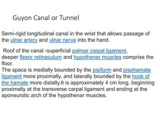 Guyon Canal or Tunnel
Semi-rigid longitudinal canal in the wrist that allows passage of
the ulnar artery and ulnar nerve into the hand.
Roof of the canal -superficial palmar carpal ligament,
deeper flexor retinaculum and hypothenar muscles comprise the
floor.
The space is medially bounded by the pisiform and pisohamate
ligament more proximally, and laterally bounded by the hook of
the hamate more distally.It is approximately 4 cm long, beginning
proximally at the transverse carpal ligament and ending at the
aponeurotic arch of the hypothenar muscles.
 