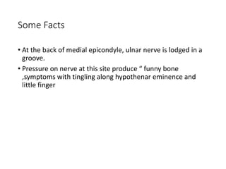 Some Facts
• At the back of medial epicondyle, ulnar nerve is lodged in a
groove.
• Pressure on nerve at this site produce “ funny bone
,symptoms with tingling along hypothenar eminence and
little finger
 