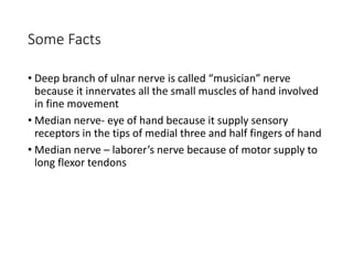 Some Facts
• Deep branch of ulnar nerve is called “musician” nerve
because it innervates all the small muscles of hand involved
in fine movement
• Median nerve- eye of hand because it supply sensory
receptors in the tips of medial three and half fingers of hand
• Median nerve – laborer’s nerve because of motor supply to
long flexor tendons
 