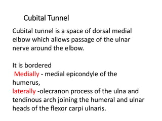 Cubital Tunnel
Cubital tunnel is a space of dorsal medial
elbow which allows passage of the ulnar
nerve around the elbow.
It is bordered
Medially - medial epicondyle of the
humerus,
laterally -olecranon process of the ulna and
tendinous arch joining the humeral and ulnar
heads of the flexor carpi ulnaris.
 