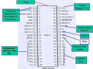 Pins
Frequency
Generator is
connected to
those pins
Power
Supply: +5 V
Address latch
Enable
Read
Write
Input/Output/
Memory
Multiplexed
Address Data
Bus
Address
Bus
 