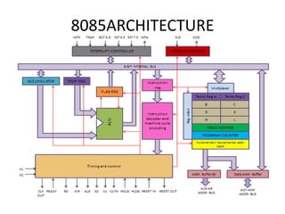 •
8085ARCHITECTURE
 