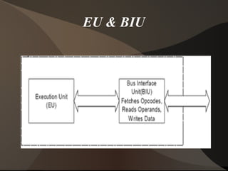 EU & BIU
 