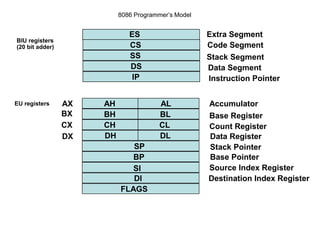 8086 Programmer’s Model
ES
CS
SS
DS
IP
AH
BH
CH
DH
AL
BL
CL
DL
SP
BP
SI
DI
FLAGS
AX
BX
CX
DX
Extra Segment
Code Segment
Stack Segment
Data Segment
Instruction Pointer
Accumulator
Base Register
Count Register
Data Register
Stack Pointer
Base Pointer
Source Index Register
Destination Index Register
BIU registers
(20 bit adder)
EU registers
 