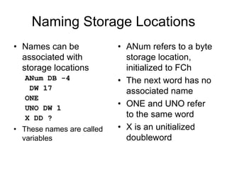 Naming Storage Locations
• Names can be
associated with
storage locations
ANum DB -4
DW 17
ONE
UNO DW 1
X DD ?
• These names are called
variables
• ANum refers to a byte
storage location,
initialized to FCh
• The next word has no
associated name
• ONE and UNO refer
to the same word
• X is an unitialized
doubleword
 