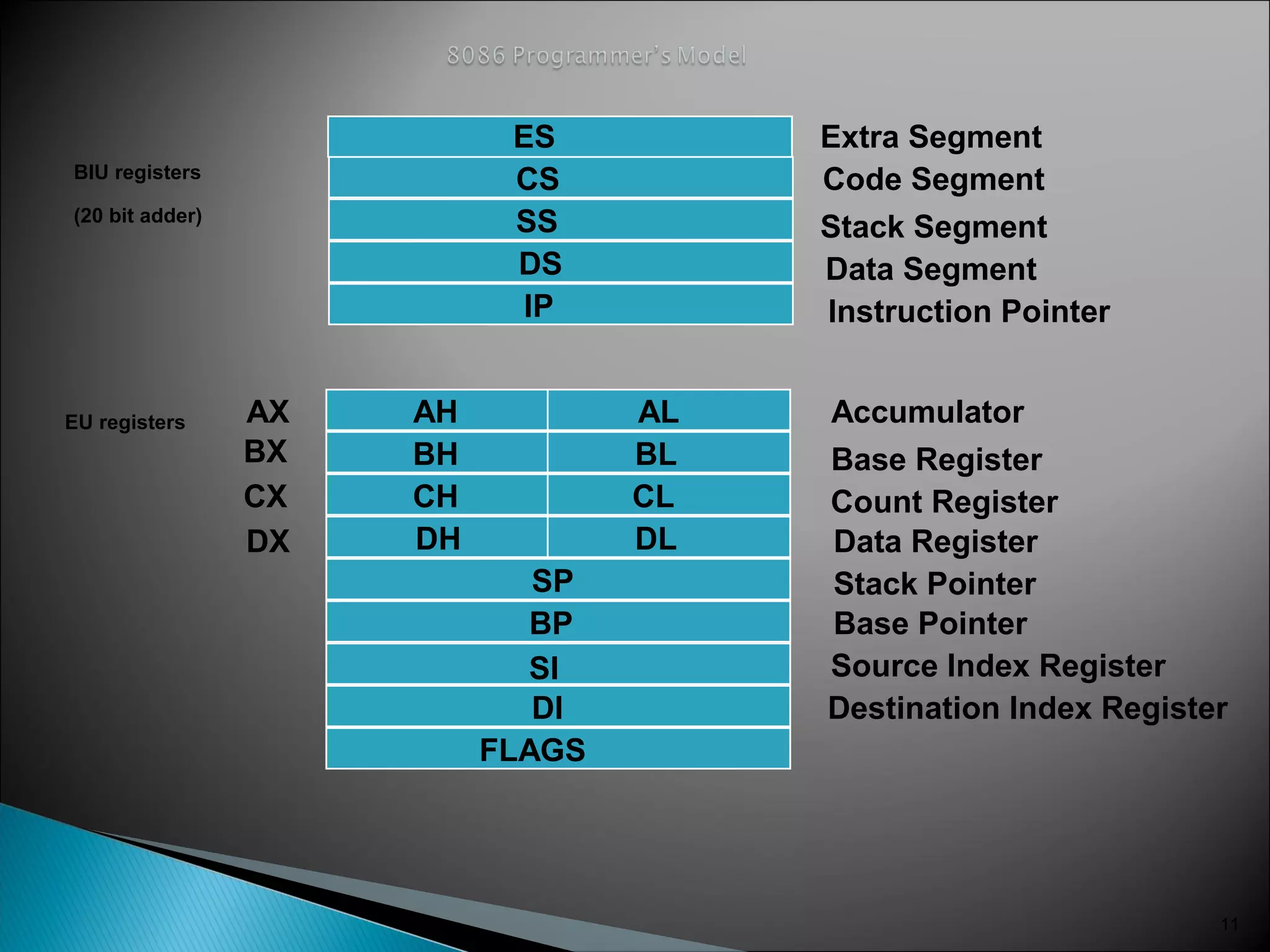 11
ES
CS
SS
DS
IP
AH
BH
CH
DH
AL
BL
CL
DL
SP
BP
SI
DI
FLAGS
AX
BX
CX
DX
Extra Segment
Code Segment
Stack Segment
Data Segment
Instruction Pointer
Accumulator
Base Register
Count Register
Data Register
Stack Pointer
Base Pointer
Source Index Register
Destination Index Register
BIU registers
(20 bit adder)
EU registers
 