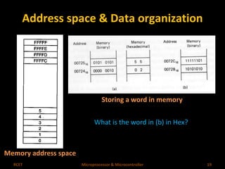 Address space & Data organization 
Memory address space 
Storing a word in memory 
What is the word in (b) in Hex? 
RCET Microprocessor & Microcontroller 19 
 
