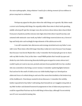 Drier 4
the nature photographer, doing whatever I need to for a shining moment of true wildness to
picture snap back to civilization.
⌘⌘⌘
Perhaps my appeal to this place where the wild things are is genetic. My father made
a career out of taming wild things, his arguably wilder than mine in their teeth-gnashing,
middle school gruff. I get the stronger ones, the survivors, those whose skin is lizard-thick
from years of puberty and the entrance into high school. But when I myself was tiny and
untamed with miniscule razor teeth, my father’s wild things towered above me, a forest of
legs and body odor and excitingly foreign elements of the adolescent world.
I can still remember late afternoons and evenings stretched out in my father’s own
wild room. These times often felt longer than they really were more because I was hungry
than because I was bored. Maybe this is why I remember the food people gave me to share
with my little brother, Paul, at this time—small M&M packets that I would rip open and
divide by color before devouring, Bazooka bubble gum wrapped in comics whose text I
couldn’t quite yet read on my own, pretzels and juice boxes packed with love by a mother
who was somewhere else being a career woman. I remember spattering fights between
Paul and me for the smell of chalk across our child-chubby fingers as I developed an
elaborate fresco of a whale diving in and out of the waves that doubled as the bottom tray
of the chalkboard—Paul always wanted to draw dinosaurs. I remember the wobbly,
leather-squeak feel of my father’s tall taming chair beneath me as I waggled a long stick at
my little brother and dictated homework assignments to him of elaborate proportions. It
could be argued that Paul was my first wild thing in those days, although I’m not entirely
sure if I ever succeeded in taming him.
 