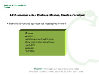 • Insectos comuns de aparecer nas instalações incluem:
Moscas;
Vespas;
Insectos armazenados com
alimentos, incluindo a traça;
Gorgulho;
Baratas;
Formigas.
Controlo e Prevenção de
Pragas
1.2.2. Insectos e Seu Controlo (Moscas, Baratas, Formigas)
 