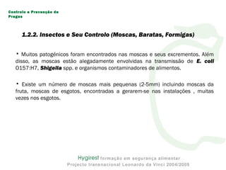 • Muitos patogénicos foram encontrados nas moscas e seus excrementos. Além
disso, as moscas estão alegadamente envolvidas na transmissão de E. coli
O157:H7, Shigella spp. e organismos contaminadores de alimentos.
• Existe um número de moscas mais pequenas (2-5mm) incluindo moscas da
fruta, moscas de esgotos, encontradas a gerarem-se nas instalações , muitas
vezes nos esgotos.
Controlo e Prevenção de
Pragas
1.2.2. Insectos e Seu Controlo (Moscas, Baratas, Formigas)
 