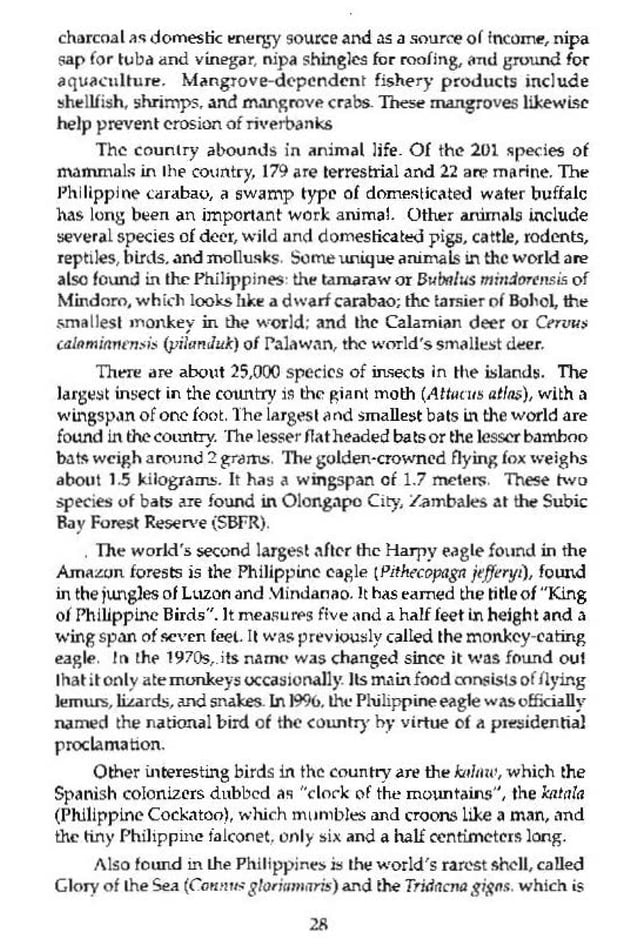 history of the philippines essay